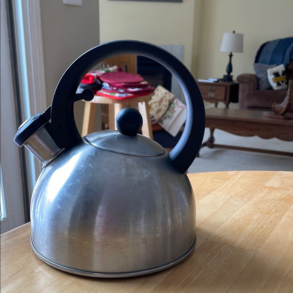 Classic Stainless Steel Tea Kettle with Black Handle and Whistle
